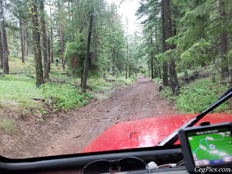 Ahtanum State Forest