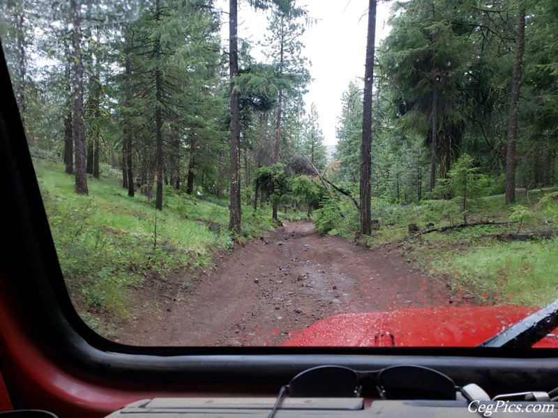 Ahtanum State Forest
