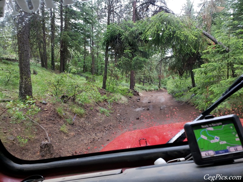 Ahtanum State Forest