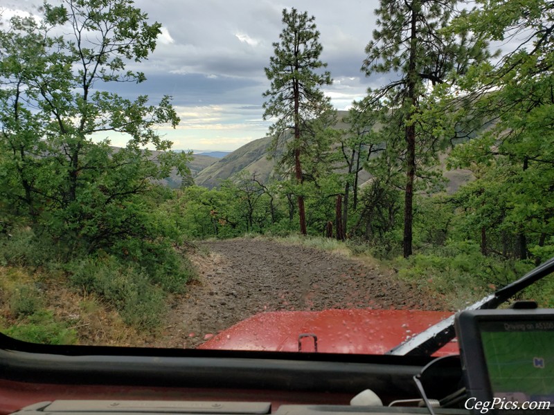 Ahtanum State Forest
