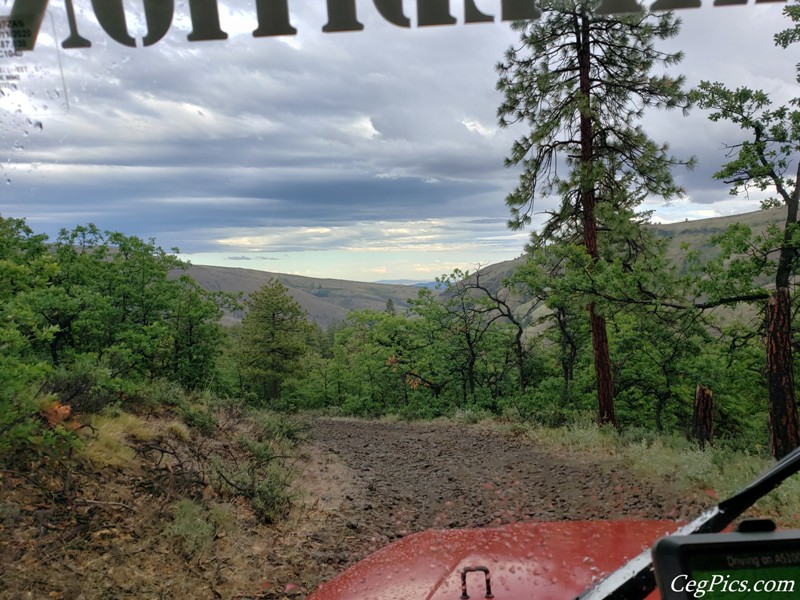 Ahtanum State Forest