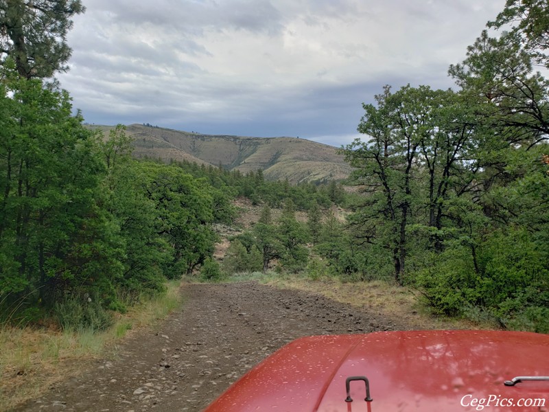 Ahtanum State Forest