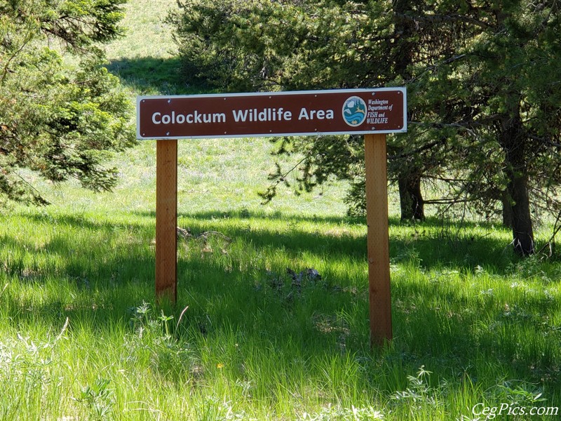Colockum Wildlife Area