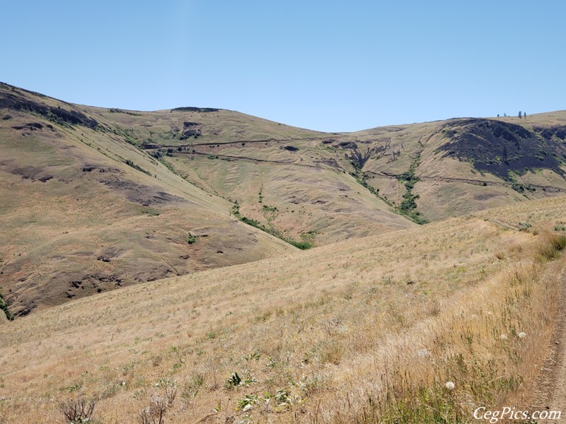 Colockum Wildlife Area