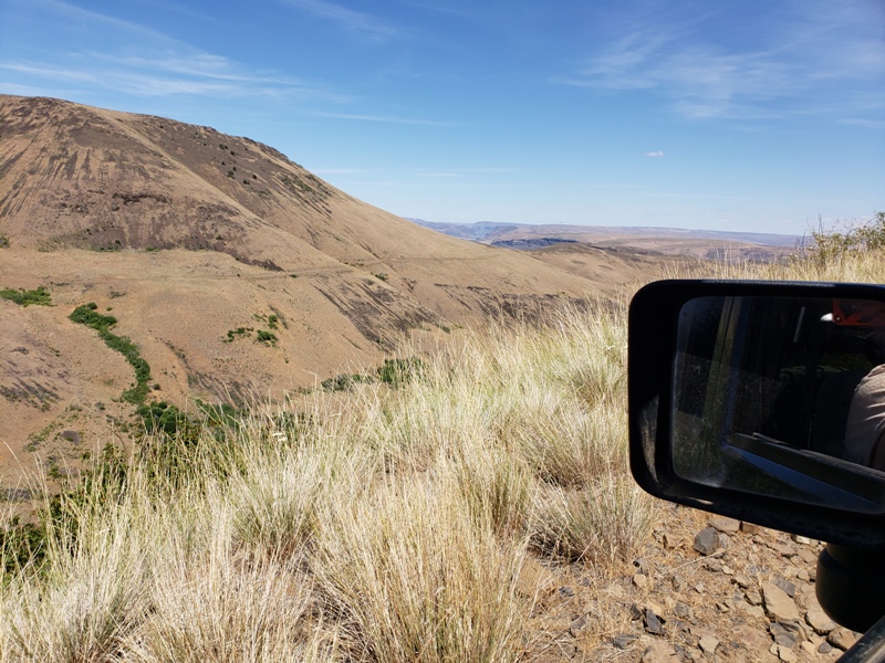 Colockum Wildlife Area