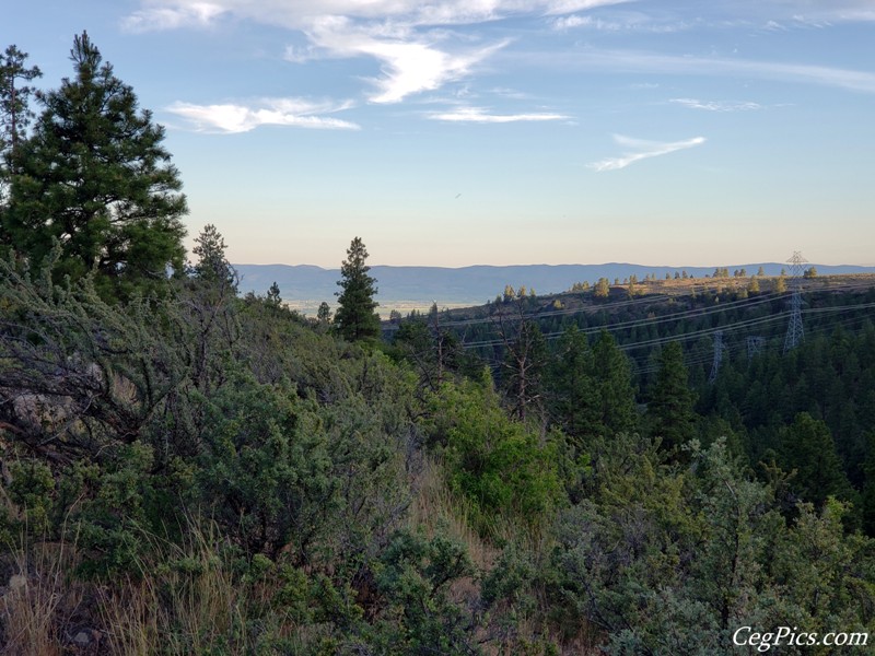 Naneum Ridge State Forest