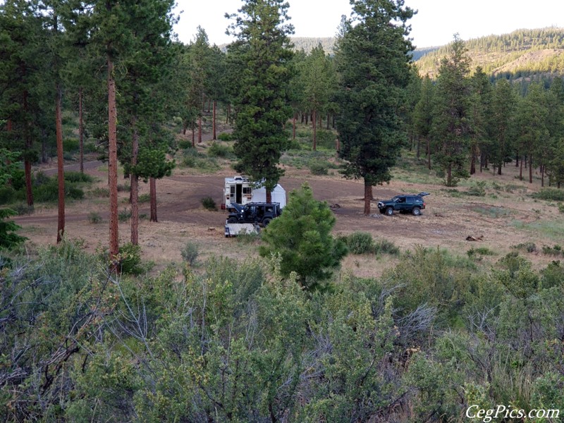 Naneum Ridge State Forest