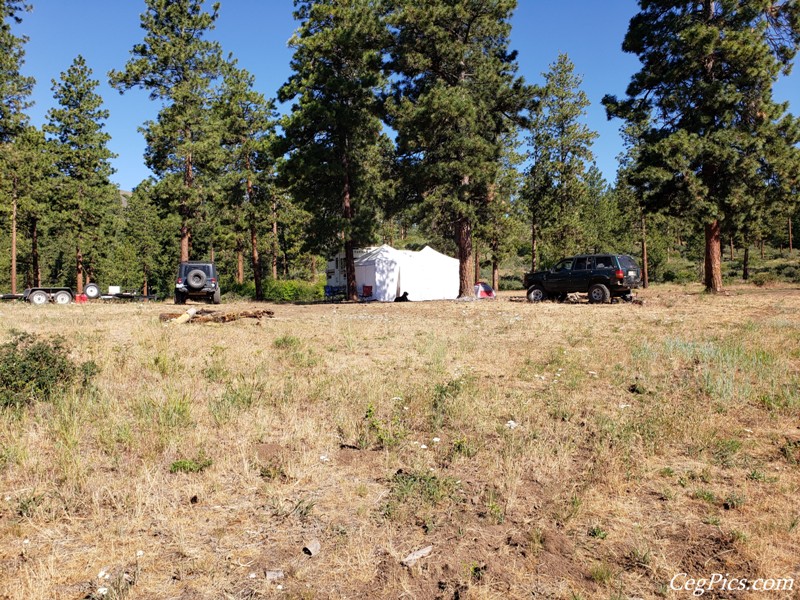 Naneum Ridge State Forest