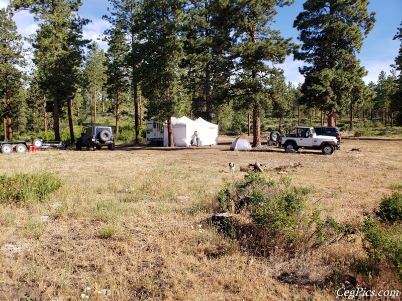 Naneum Ridge State Forest