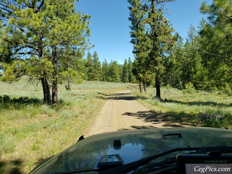 Naneum Ridge State Forest