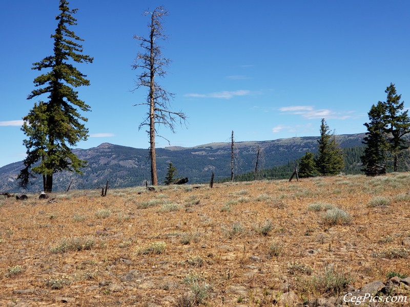 Naneum Ridge State Forest