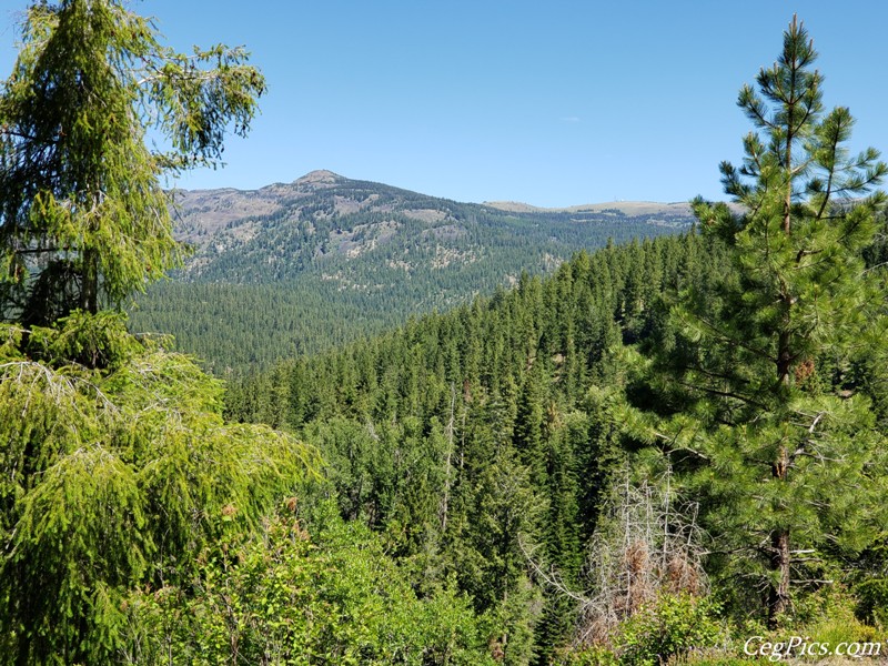 Naneum Ridge State Forest