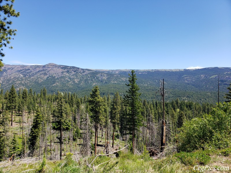 Naneum Ridge State Forest