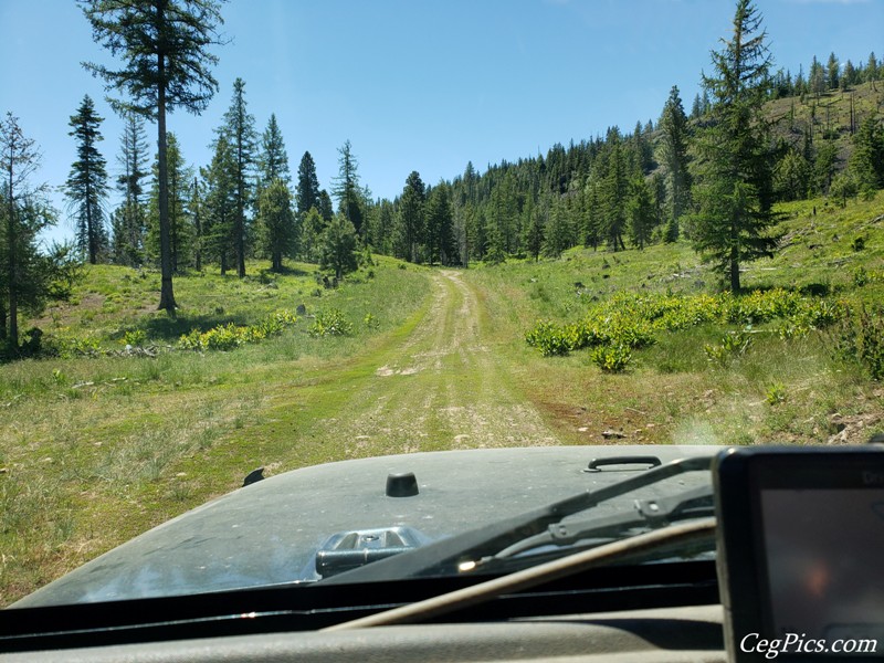 Naneum Ridge State Forest