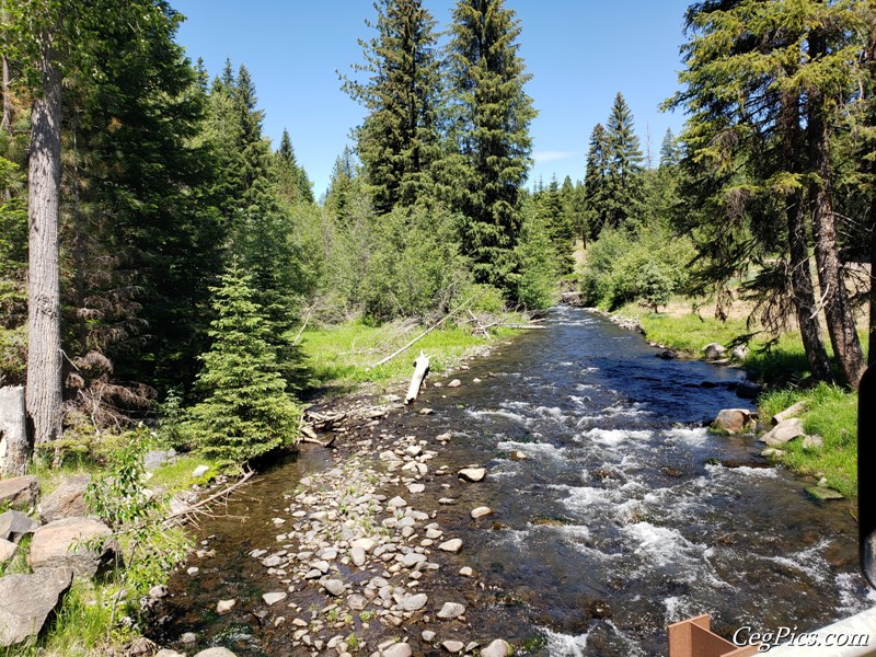 Naneum Ridge State Forest