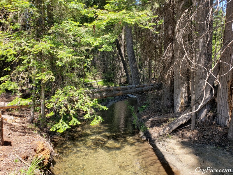 Naneum Ridge State Forest