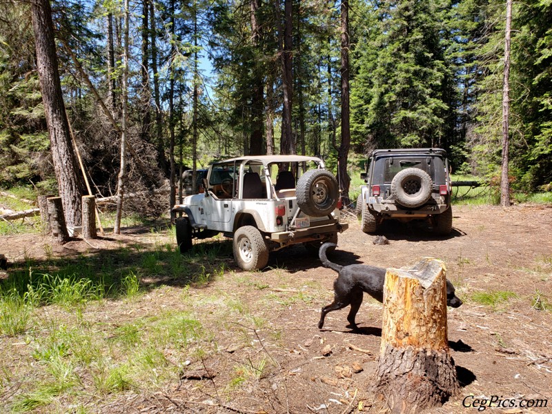 Naneum Ridge State Forest