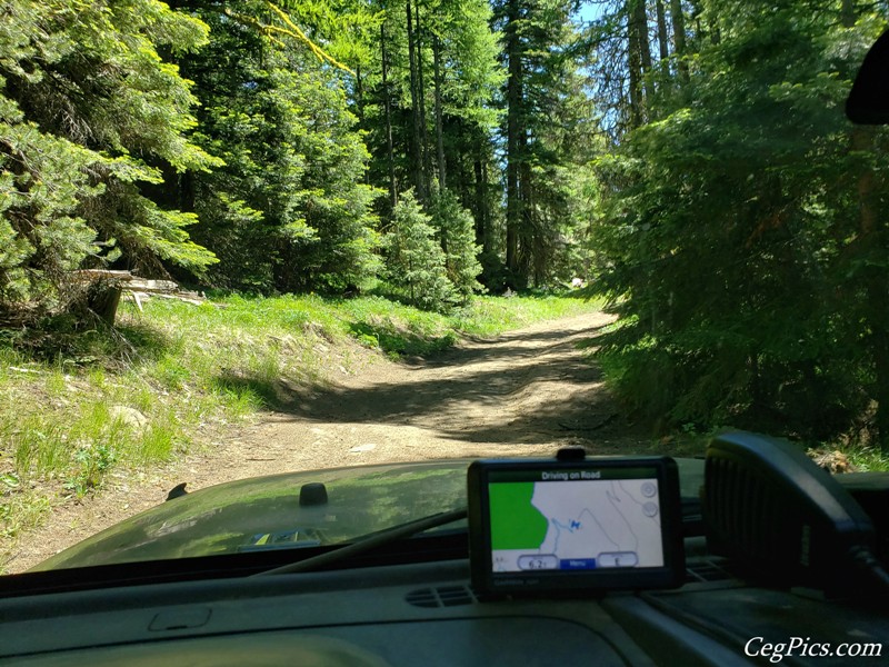 Naneum Ridge State Forest