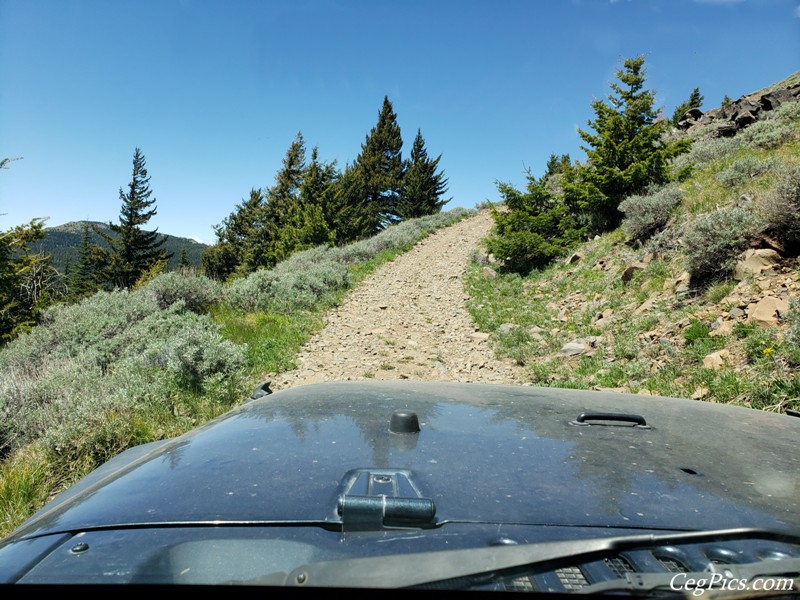 Naneum Ridge State Forest