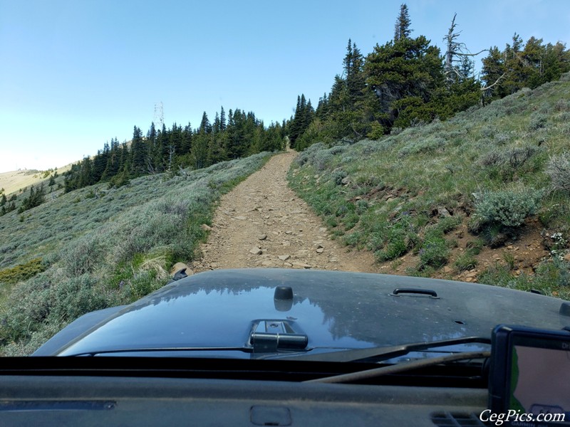 Naneum Ridge State Forest