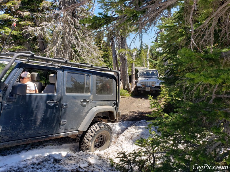 Naneum Ridge State Forest