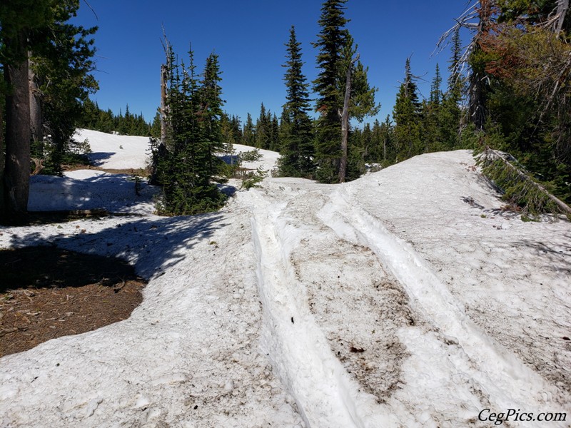 Naneum Ridge State Forest