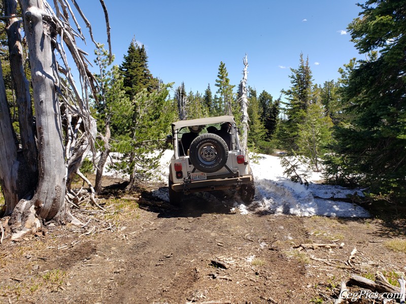 Naneum Ridge State Forest