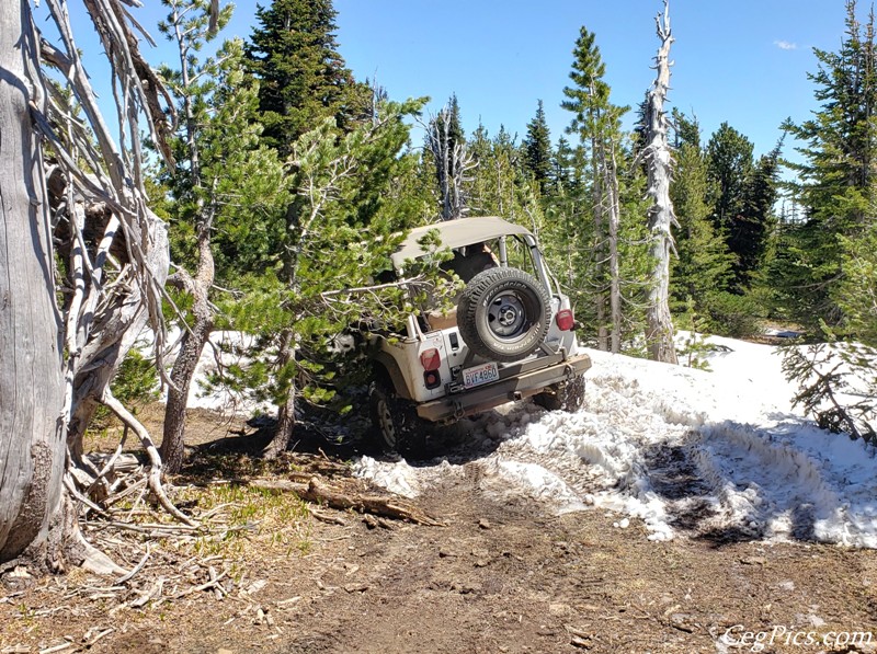 Naneum Ridge State Forest