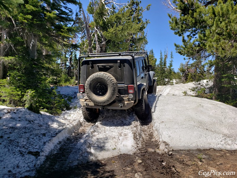 Naneum Ridge State Forest