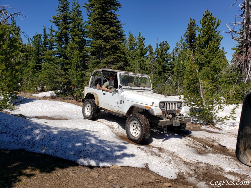 Naneum Ridge State Forest