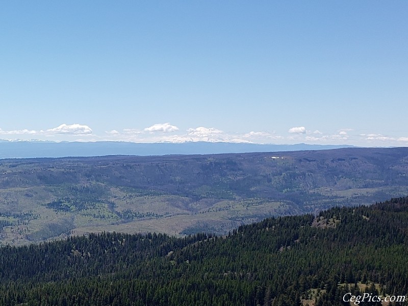 Naneum Ridge State Forest