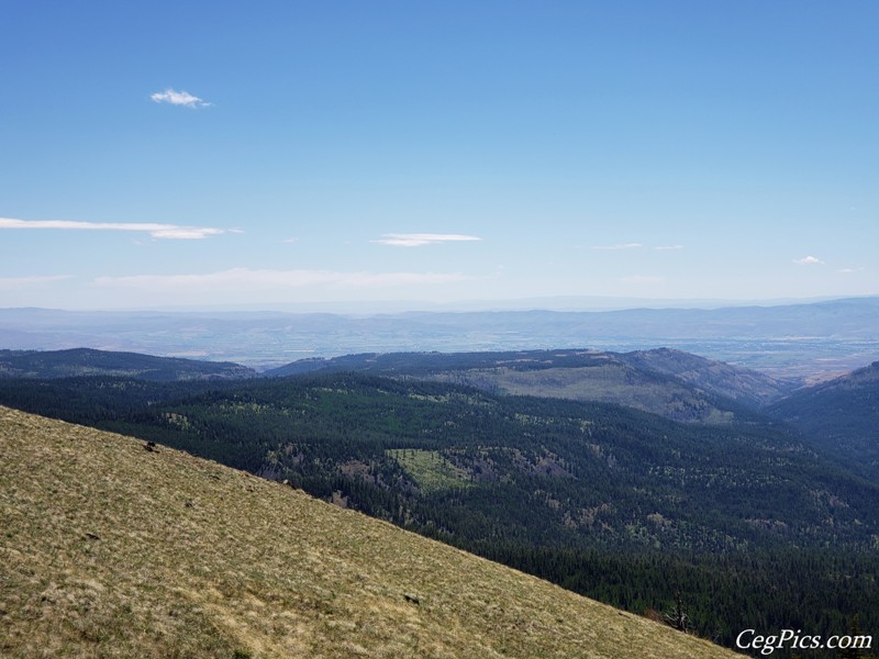 Naneum Ridge State Forest