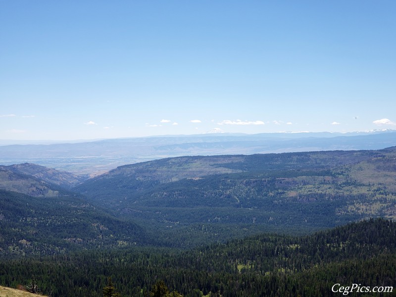 Naneum Ridge State Forest