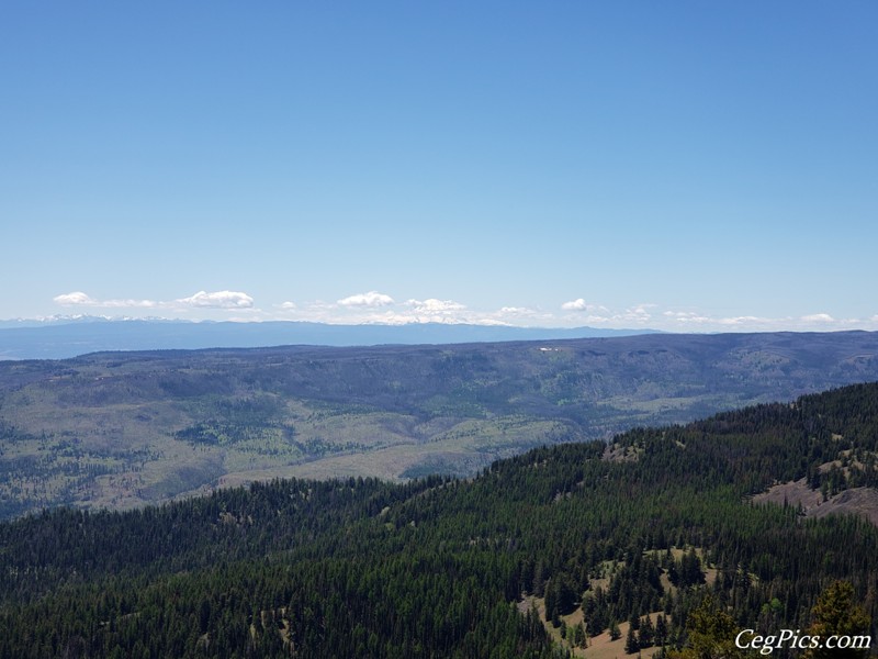 Naneum Ridge State Forest