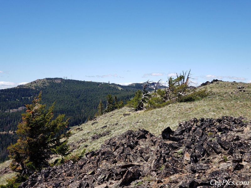 Naneum Ridge State Forest