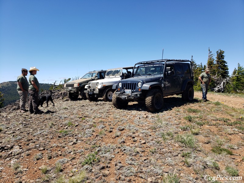 Naneum Ridge State Forest