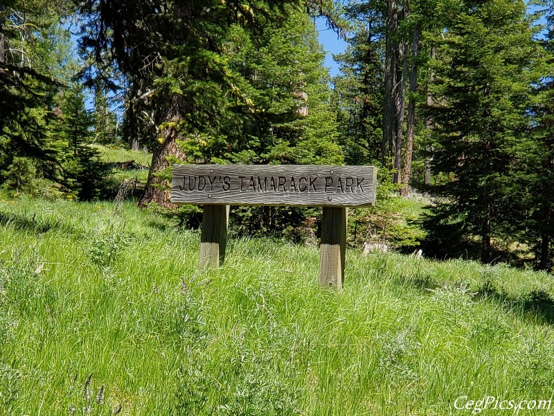 Naneum Ridge State Forest