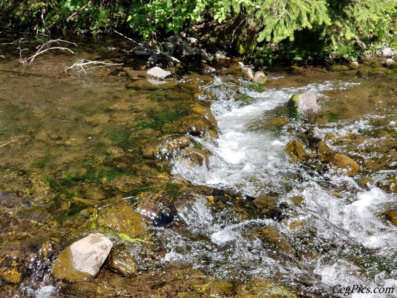 Naneum Ridge State Forest