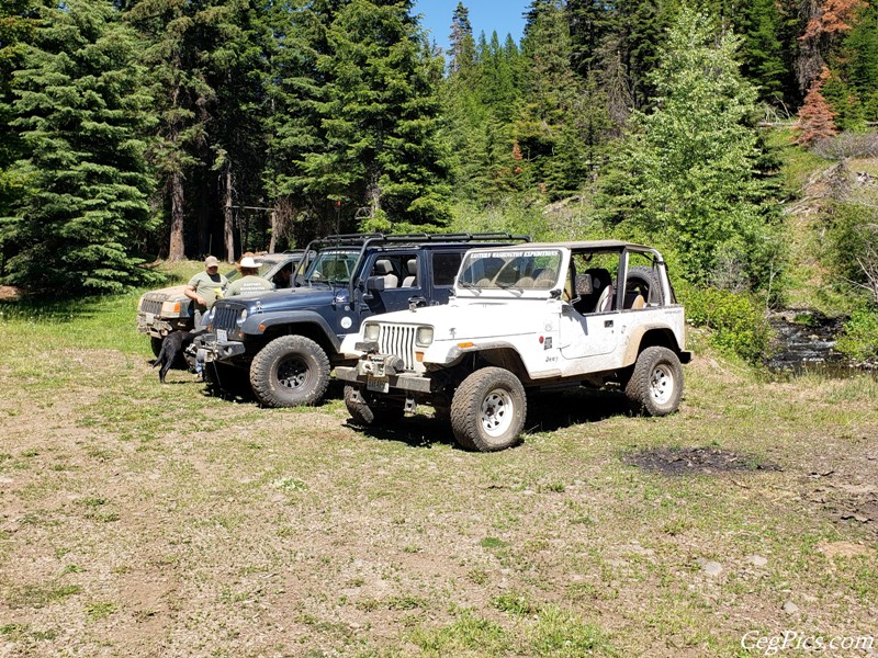 Naneum Ridge State Forest