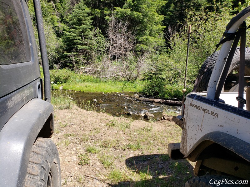 Naneum Ridge State Forest