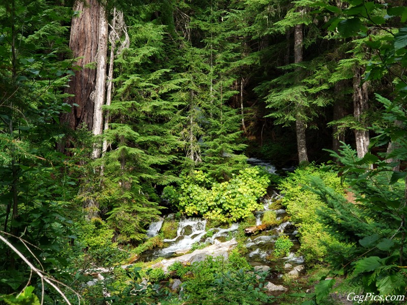 Big Spring Creek Waterfall