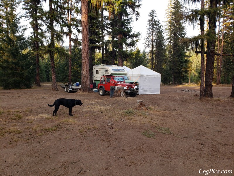 Wagons East