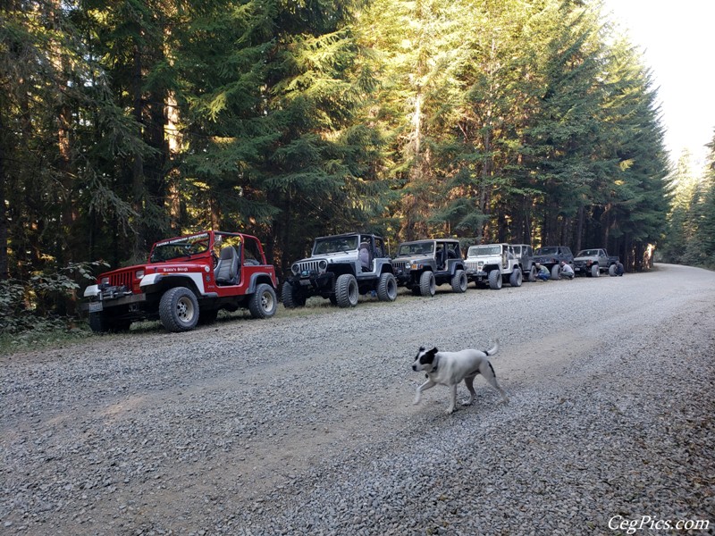 Wagons East