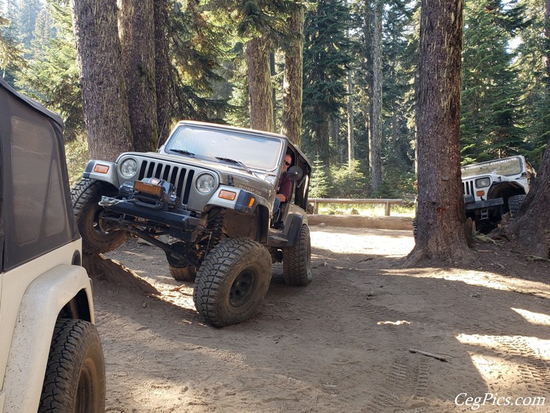 Wagons East