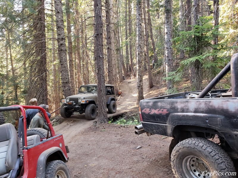 Wagons East