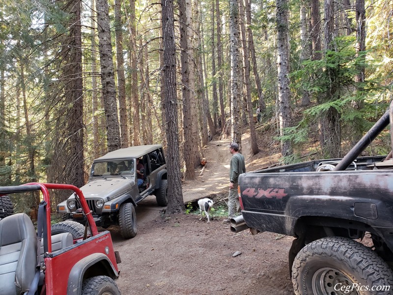 Wagons East