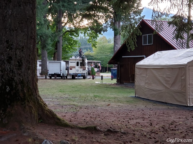 Packwood Flea Market