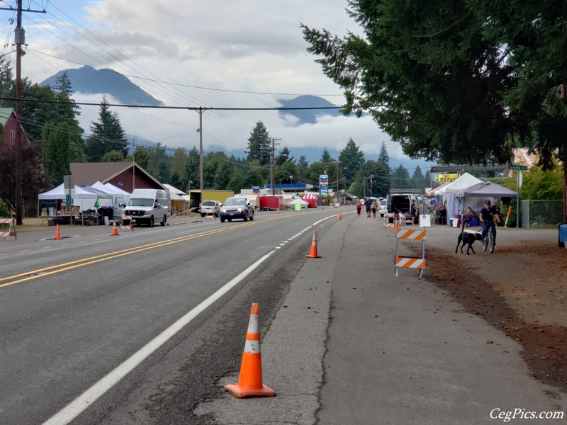 Packwood Flea Market