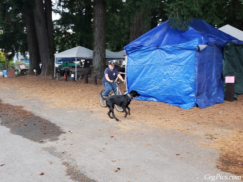 Packwood Flea Market