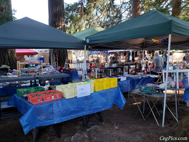 Packwood Flea Market